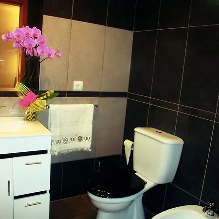 شقة Mericia's Gorgeous View فونشال